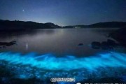 深圳荧光海(深圳海岸线荧光夜景美不胜收)