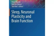 热队(重写前标题：The Importance of Sleep for Maintaining a Healthy Brain重写后标题：保持健康大脑的重要性：睡眠的作用)