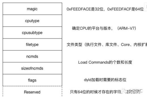 mdfmds(重写标题：如何有效地使用mdfmds格式写作？)