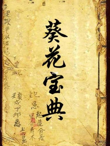 葵花宝典是什么(葵花宝典：一个古代武术秘籍)