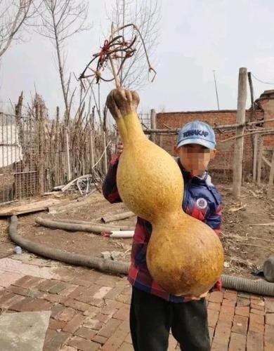 水泥葫芦(“水泥葫芦”如何借力壮大中国制造？)