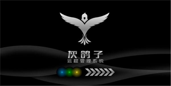 灰鸽子官网(灰鸽子官网改版，全新用户体验惊喜不断！)